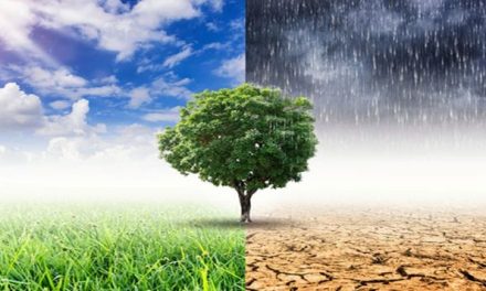 Isu Lingkungan Global: Dampak Dan Solusi Yang Sedang Dibahas