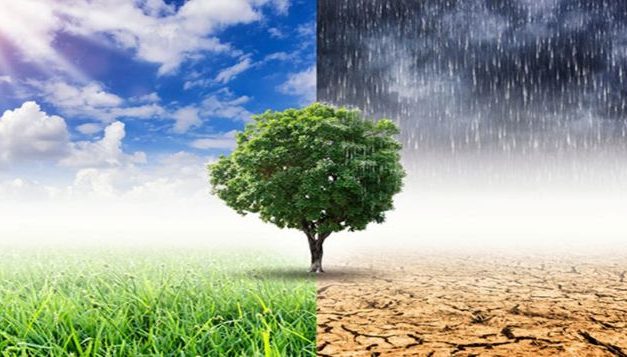 Isu Lingkungan Global: Dampak Dan Solusi Yang Sedang Dibahas