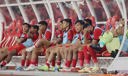 Transformasi Sepak Bola Indonesia Menuju Level Internasional